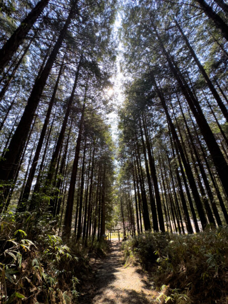 北野神社　岐阜県 瑞浪市