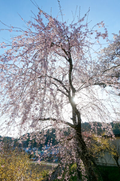 金城山 宗昌寺　岐阜県 瑞浪市 大湫町