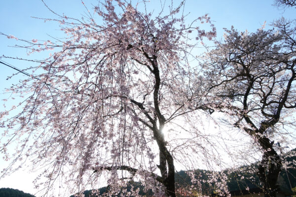 金城山 宗昌寺　岐阜県 瑞浪市 大湫町