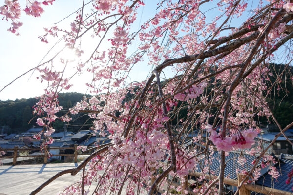 金城山 宗昌寺　岐阜県 瑞浪市 大湫町