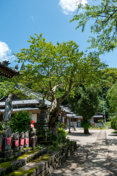 金城山 宗昌寺　岐阜県 瑞浪市 大湫町