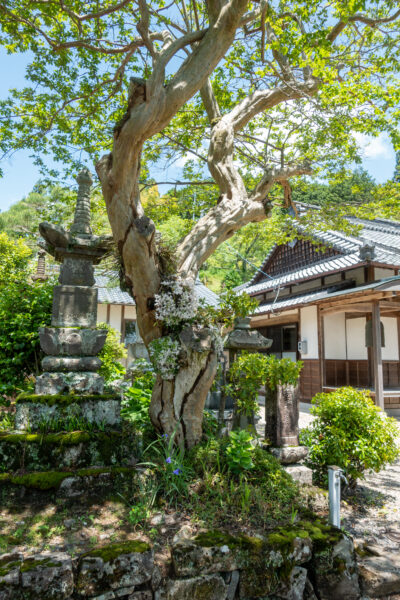 金城山 宗昌寺　岐阜県 瑞浪市 大湫町