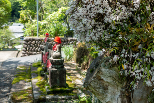 金城山 宗昌寺　岐阜県 瑞浪市 大湫町