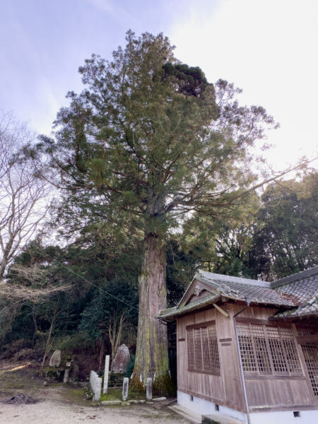 本郷 神明神社　岐阜県 瑞浪市