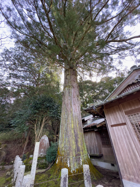 本郷 神明神社　岐阜県 瑞浪市