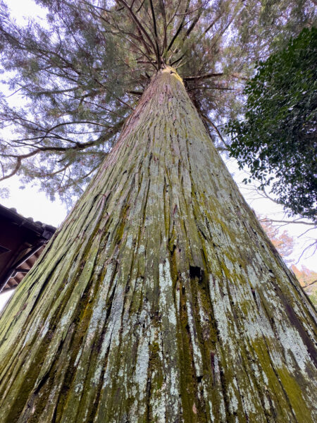 本郷 神明神社　岐阜県 瑞浪市