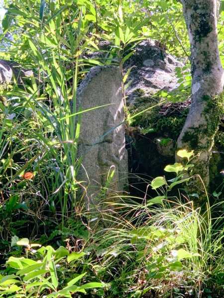 日吉町本郷　奥之院 小塩観音（弘法堂）