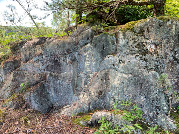 日吉町本郷　奥之院 小塩観音（弘法堂）