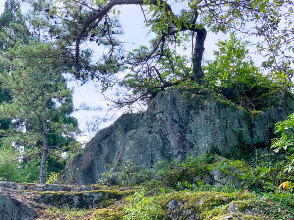 日吉町本郷　奥之院 小塩観音（弘法堂）