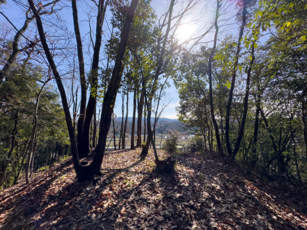 天神山城跡_裏天神山城跡 　岐阜県 瑞浪市