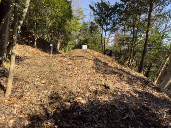 天神山城跡_裏天神山城跡 　岐阜県 瑞浪市