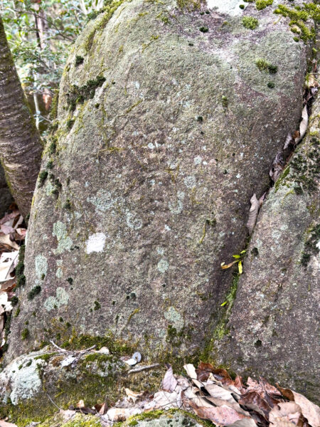 下本郷の助郷道_馬頭観音　岐阜県 瑞浪市