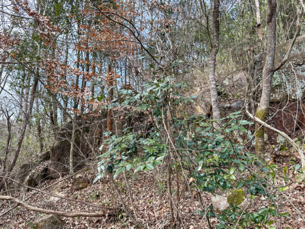 下本郷の助郷道_馬頭観音　岐阜県 瑞浪市