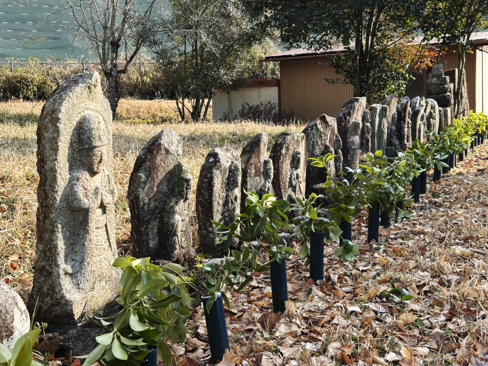 定林寺跡　観音堂